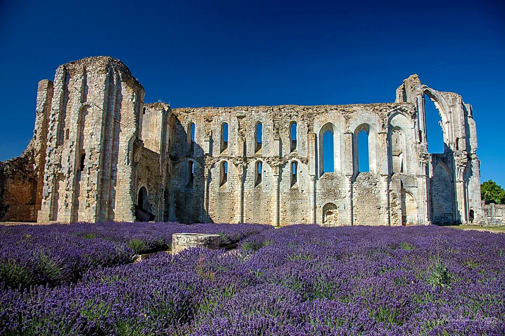 Abbaye de Maillezais