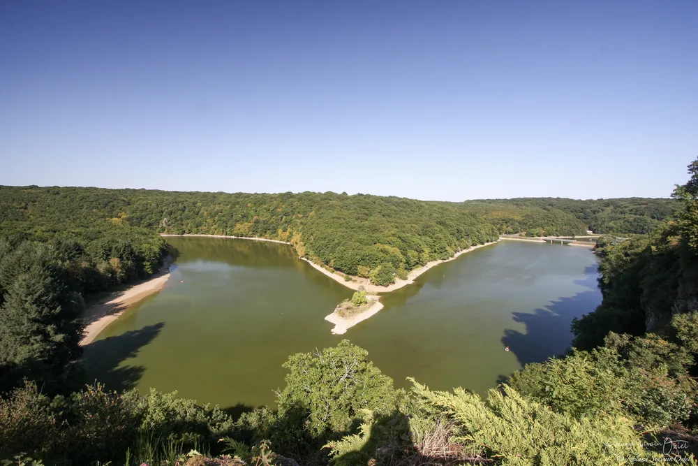 Forêt de Mervent
