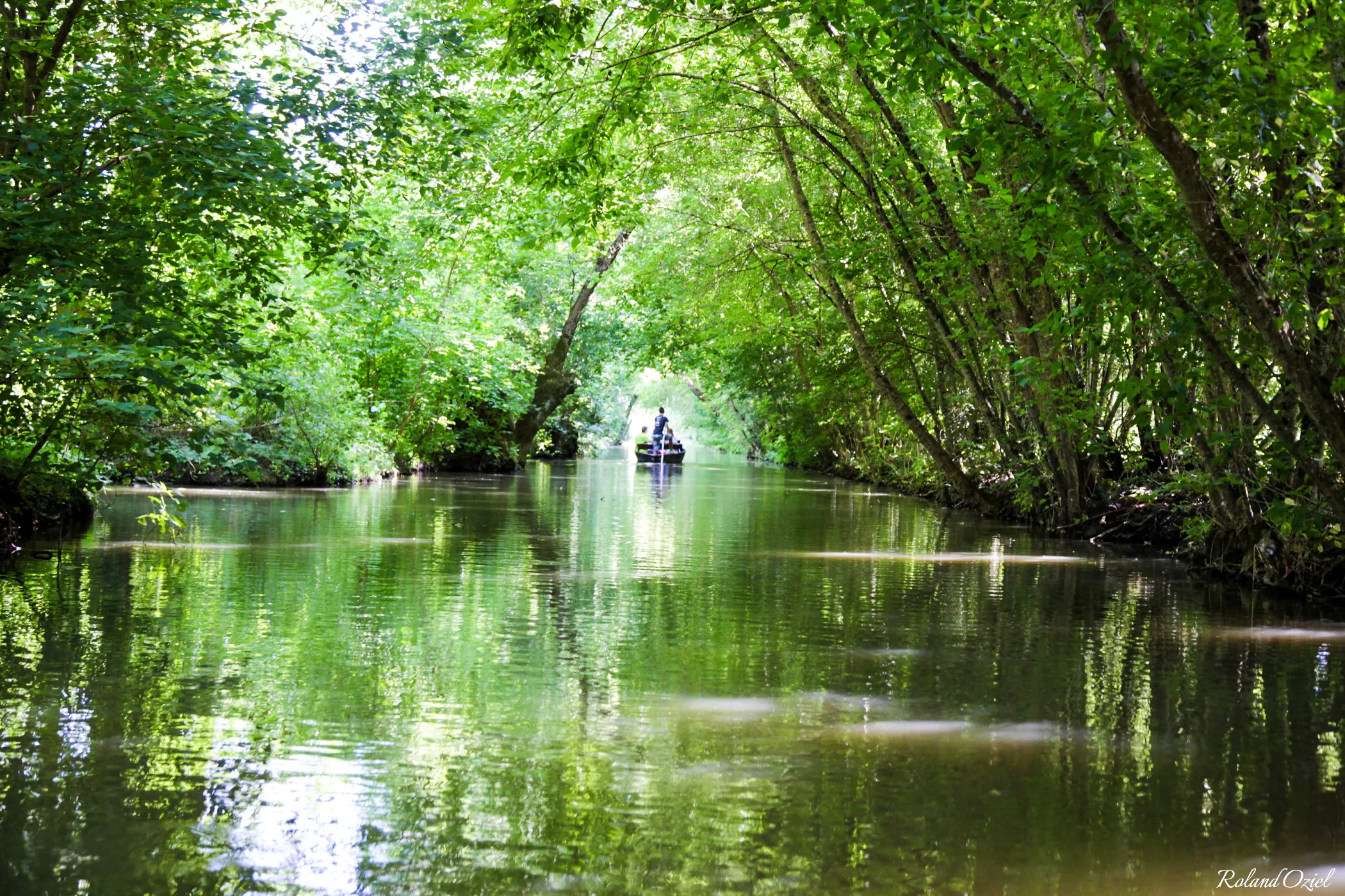 La Venise Verte dans le Marais Poitevin
