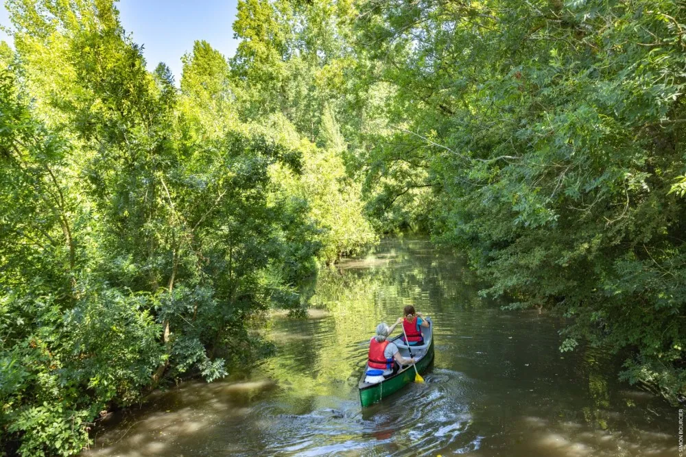 Balade en barque sur la Venise Verte