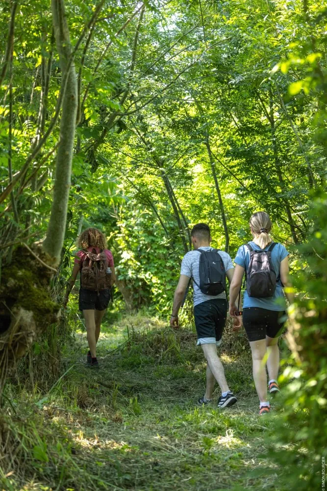 Randonnée pédestre autour du camping O'Ptit Marais